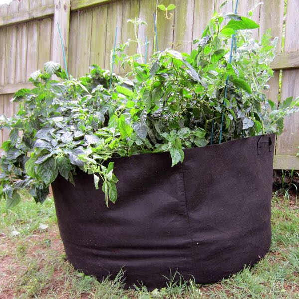 Nonwoven fabric planter pot